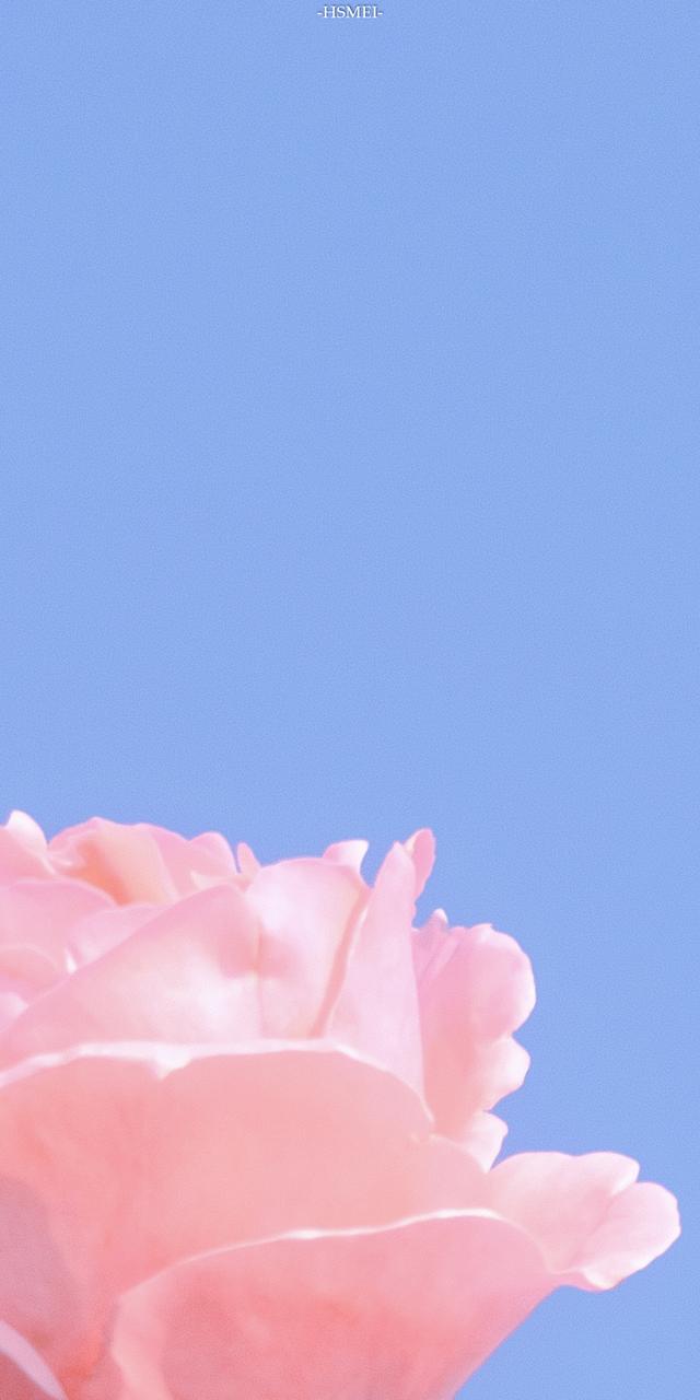 1616575043-be6a792ba97b63b 1616575043-be6a792ba97b63b