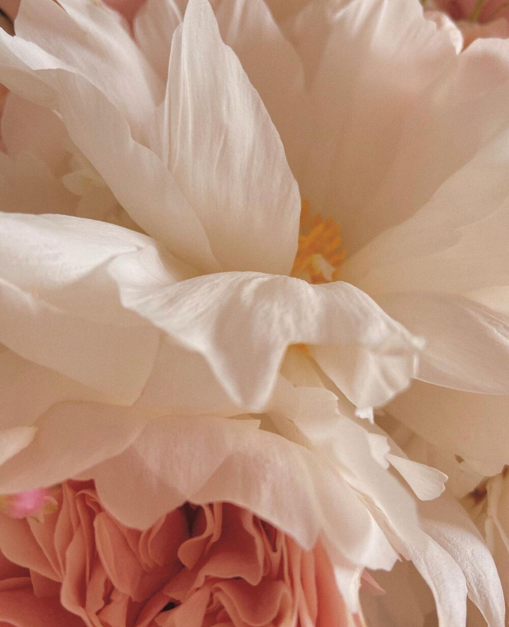 1616981915-29e3563f971b00b