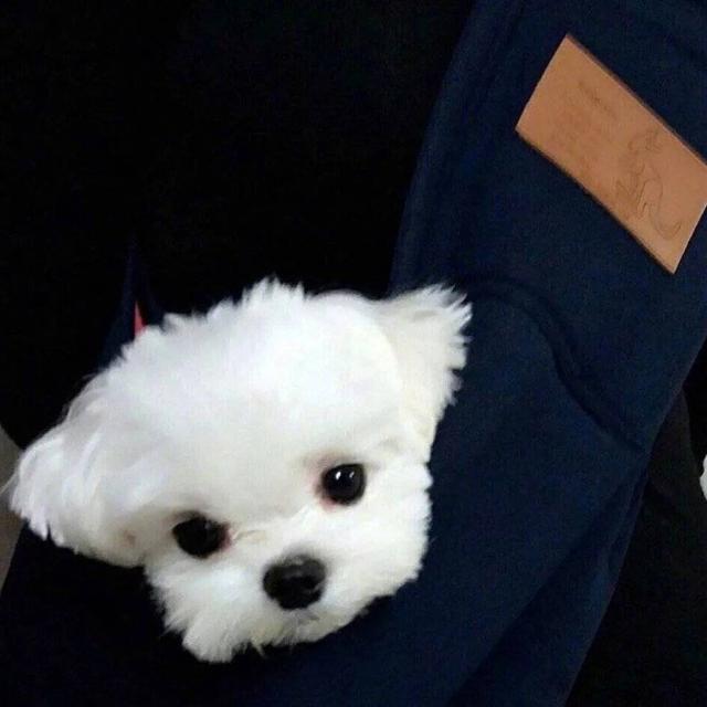 不开心是难溶性杂质要及时过滤