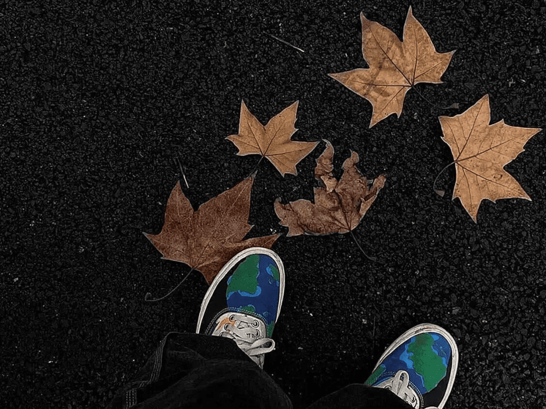 1618211262-f134fce48383fdc