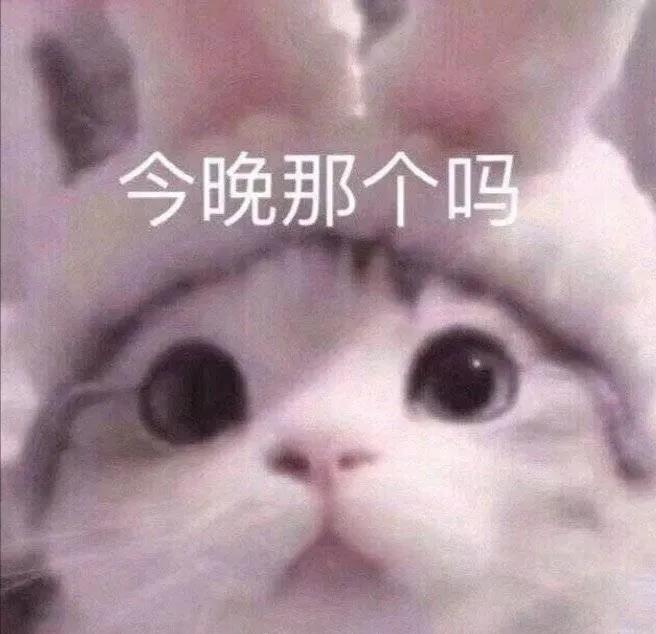 文案丨那些很污很骚气的句子