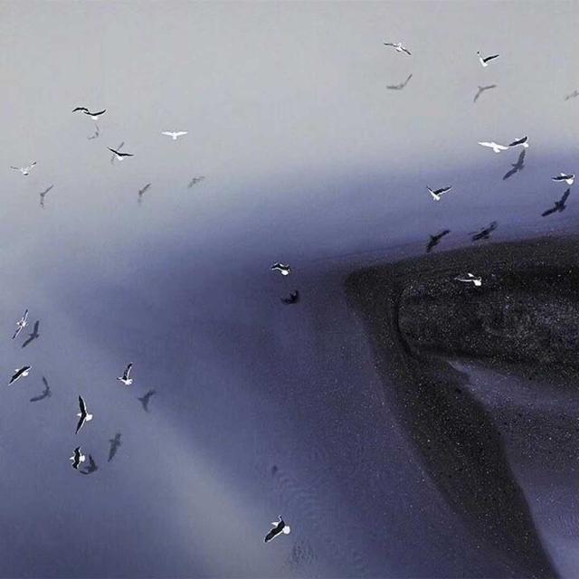 1618997350-291d368388f3111 1618997350-291d368388f3111