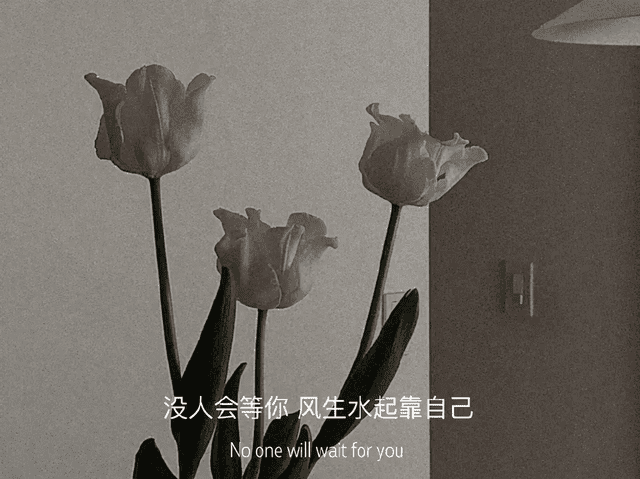 1619674907-f6385384248f197