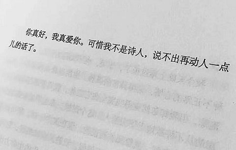 书摘里怦然心动的浪漫情话