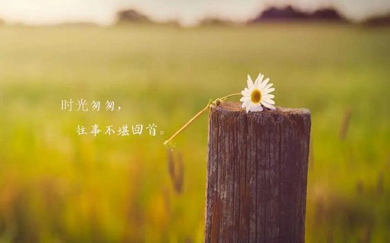 抓不住时间的文艺句子 抓不住时间的文艺句子