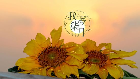 100个关于七月的文案合集 100个关于七月的文案合集