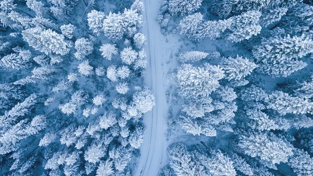 大雪节气祝福语录大全