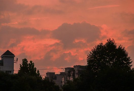一些温柔可爱的抖音文案句子