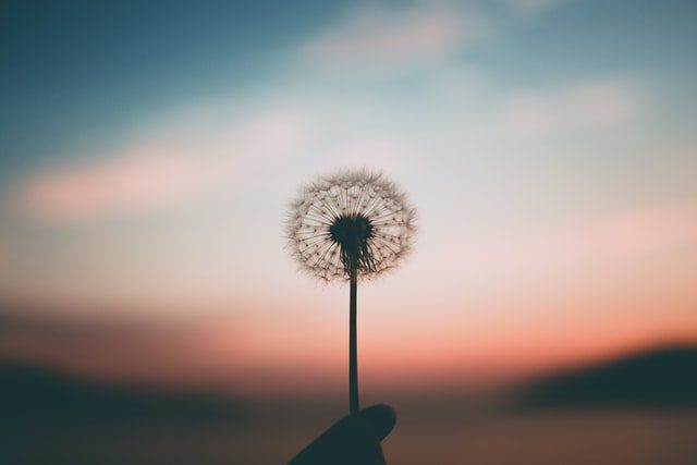 收集了一些觉得遗憾的句子
