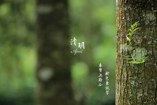 非常走心的清明节文案