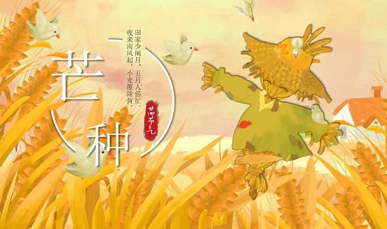 文艺唯美的芒种句子 文艺唯美的芒种句子