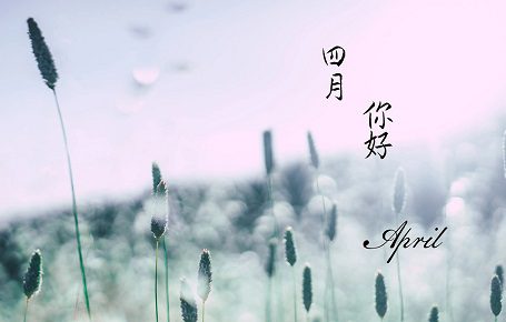 四月你好的心情说说