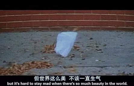 支撑你走了很久的电影台词
