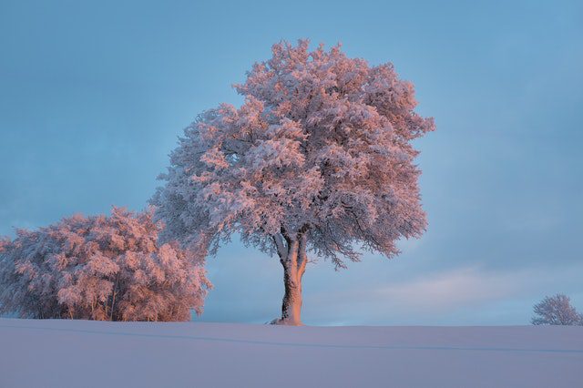 30句关于大雪节气的文案